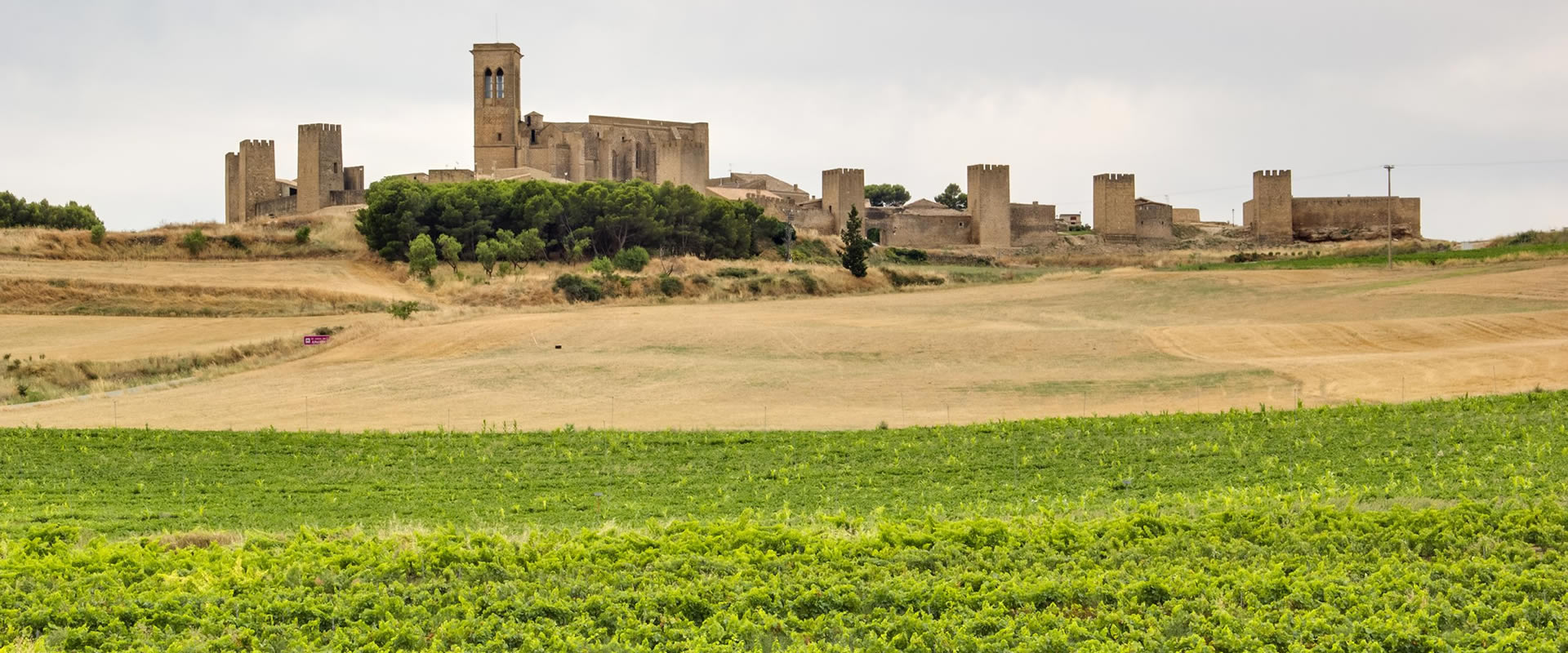 CIUDAD ROMANA DE ANDELOS, CERCO Y DÓLMENES DE ARTAJONA