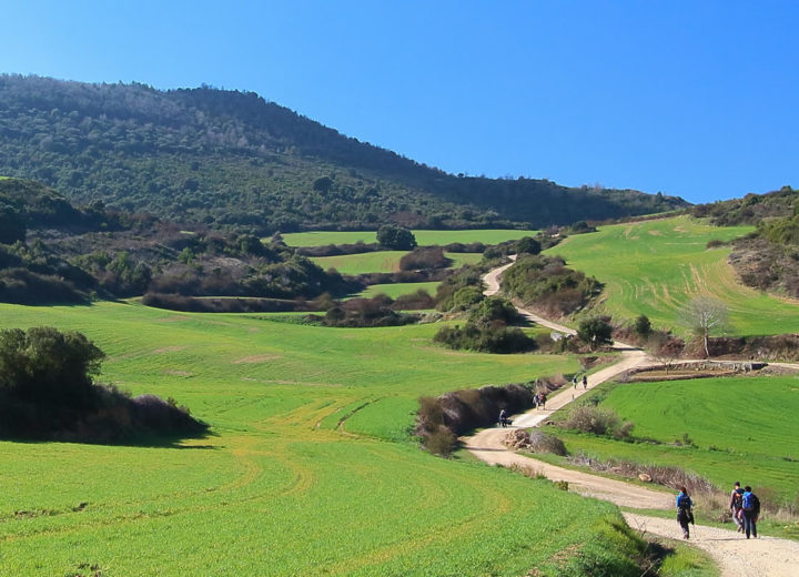 CAMINO DE SANTIAGO