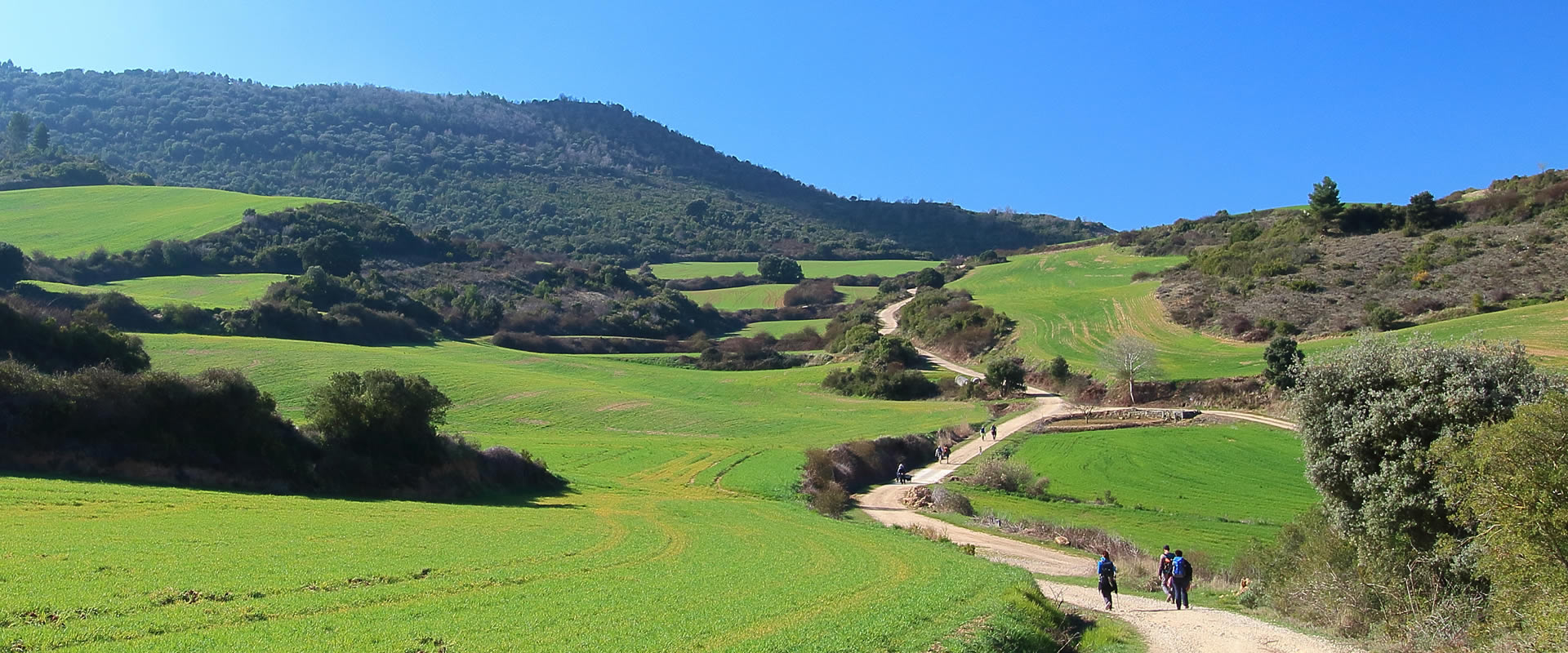 CAMINO DE SANTIAGO